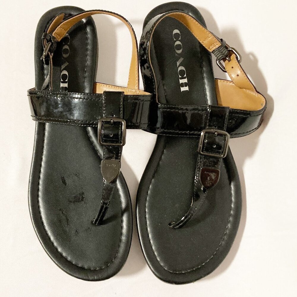 Coach Cassidy Buckle Sandals Size 6